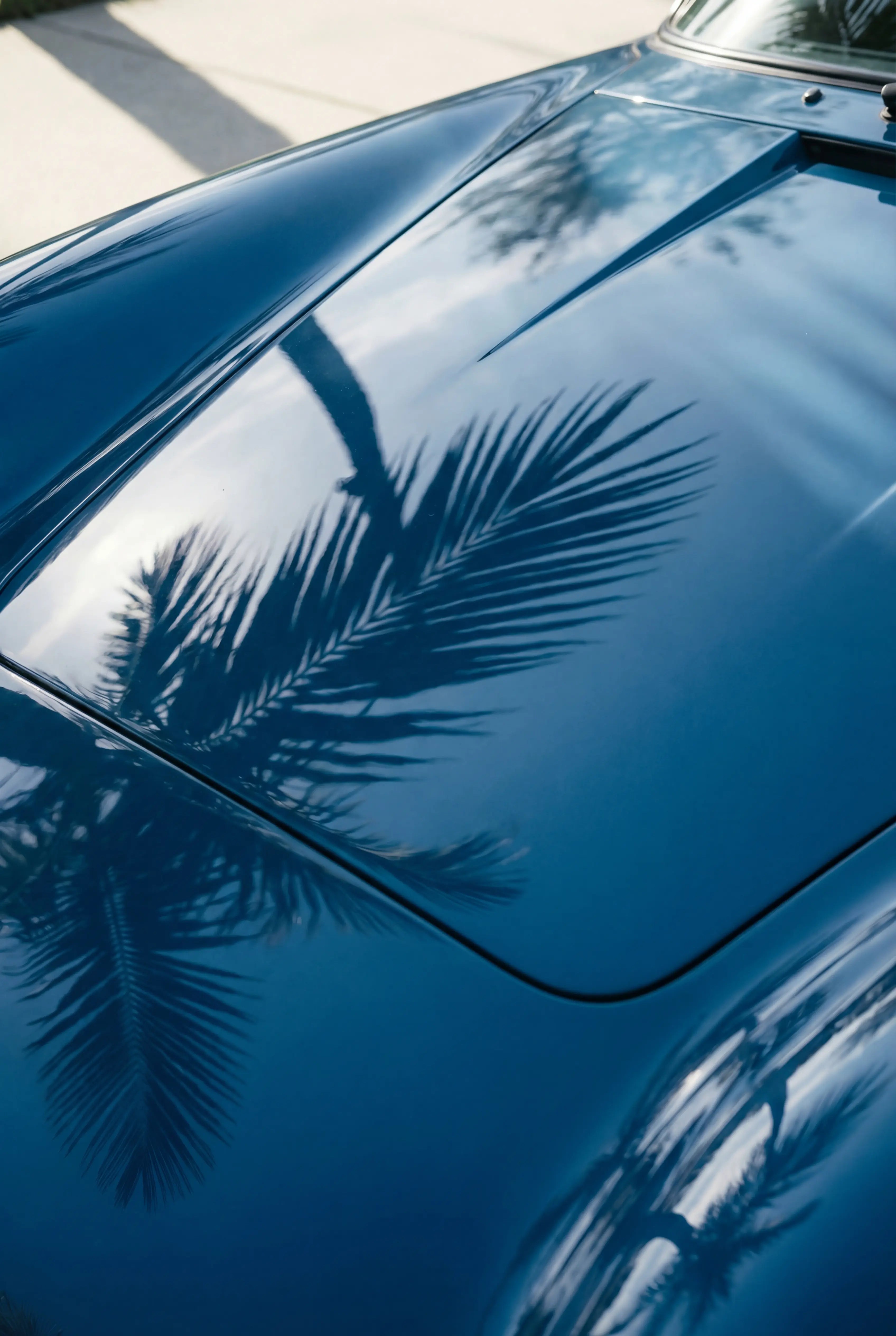 Vol.1 | Palms & Porsche Vyntage