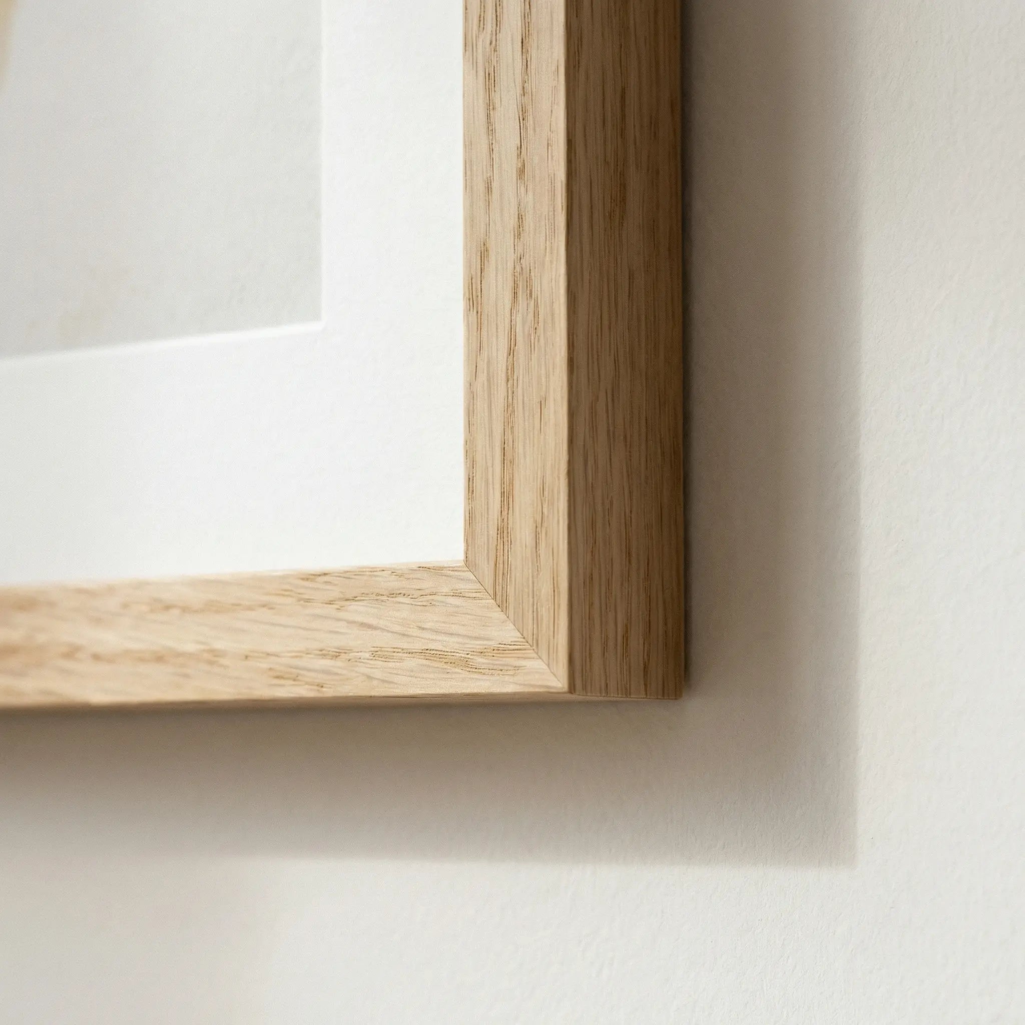 Vol.1 | Icon Study White Out Vyntage