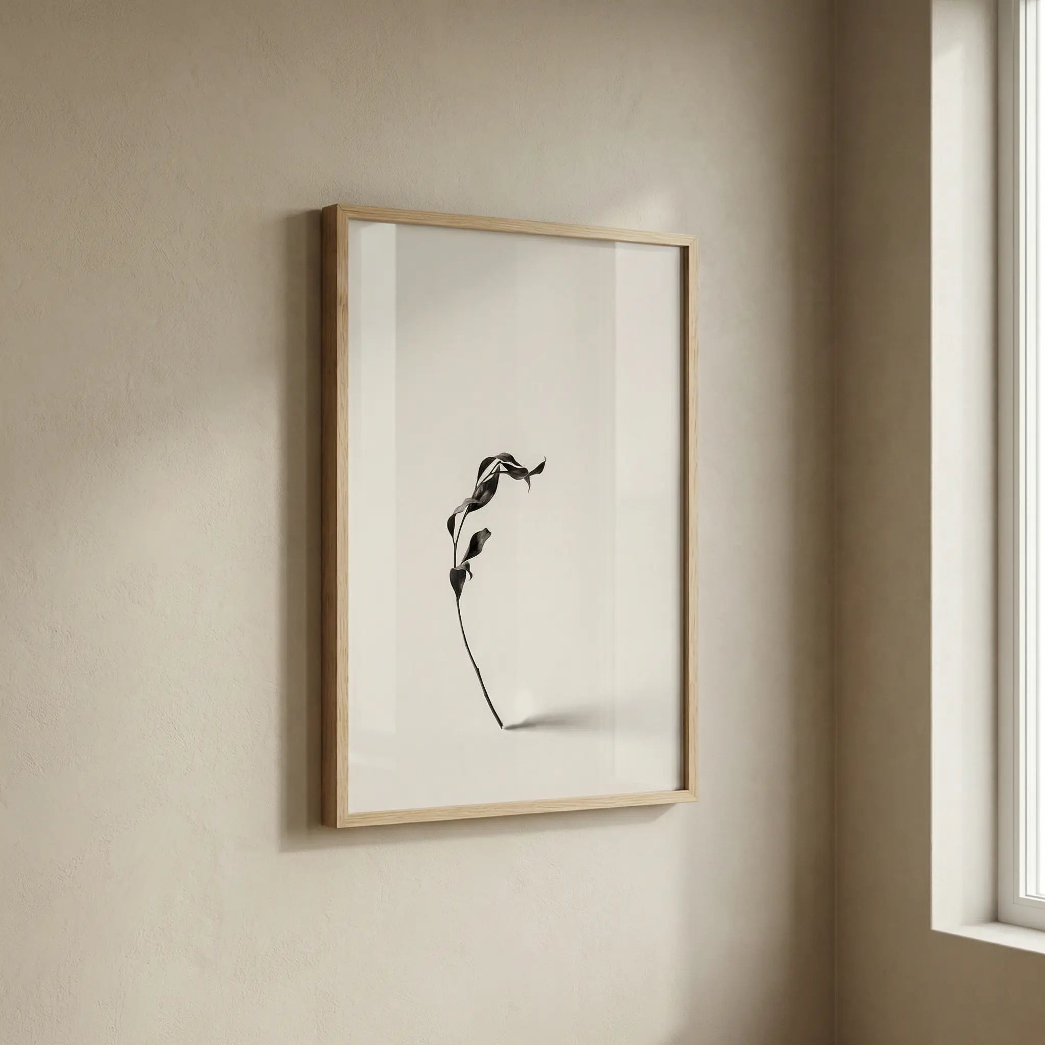 Vol.2 | Still Line — Botanical Study No. 04 Vyntage