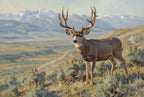 Vol. 3 | Mule Deer in Sage Basin Vyntage