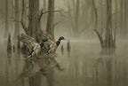 Vol. 3 | Mallards in Flooded Timber Vyntage