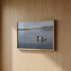 Vol. 3 | Canvasbacks on Open Water Vyntage