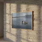 Vol. 3 | Canvasbacks on Open Water Vyntage