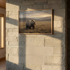 Vol. 3 | Grizzly in Open Valley Vyntage