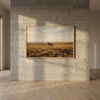 Vol. 3 | Pronghorn on Wide Prairie Vyntage